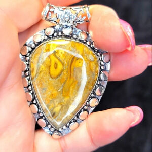 0231. NWOTs ~ So Unique!! Mud Crack Fossil Gemstone in Sterling Silver Pendant ~